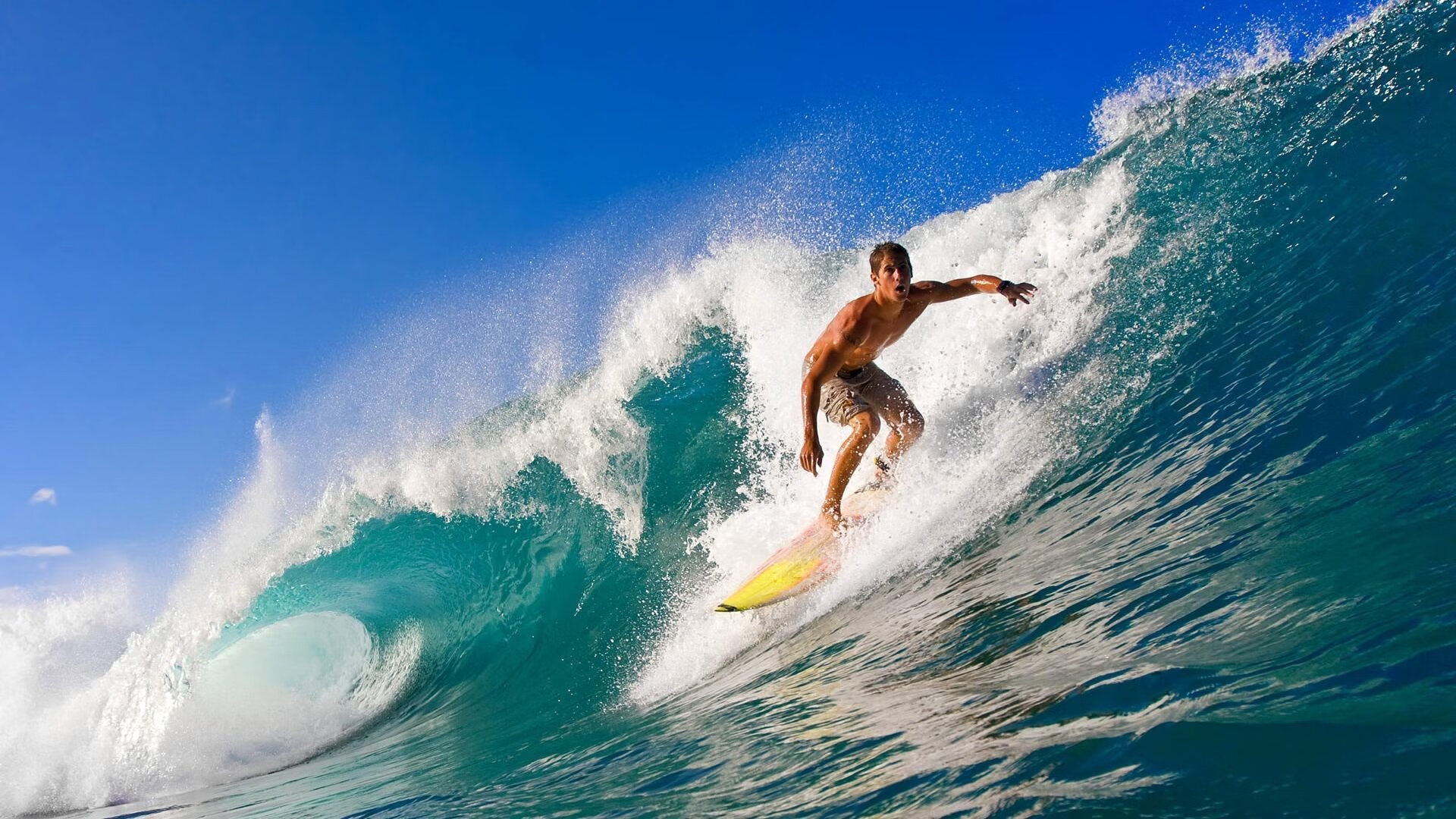 九游娱乐网页版-“野外追逐”——荒漠、山地、雪原的极限角逐，野外雪景图片